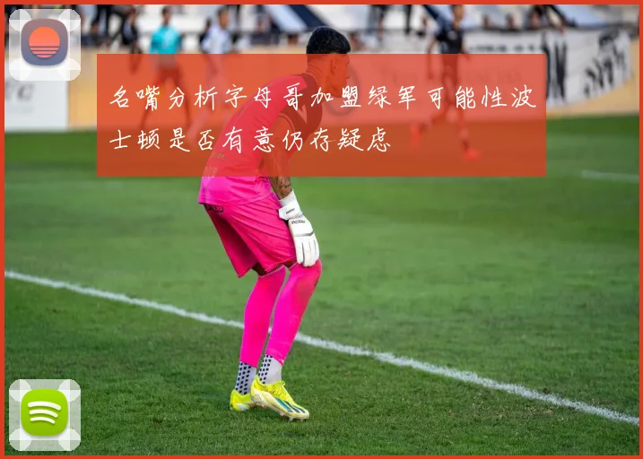 名嘴分析字母哥加盟绿军可能性波士顿是否有意仍存疑虑
